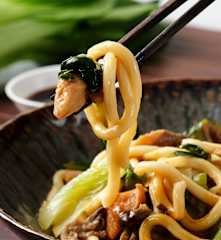 Udon Nudeln mit Poulet