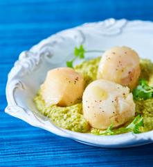 Steamed Scallops with Sweet Pea Purée