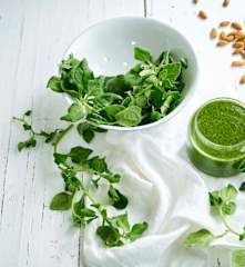 Salsa para pastas: pesto de espinaca