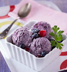 法式乳酪冰淇淋