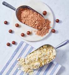 Homemade Malted Milk Powders