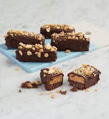 Frozen Chocolate Peanut Butter Bars