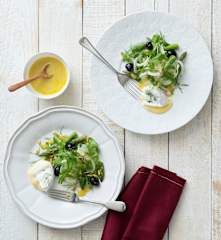 Fenchel-Spargel-Salat mit weichem Camembert
