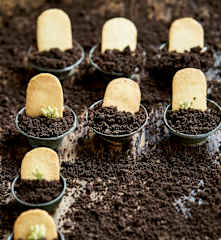 Cemitério de Halloween