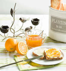 Mermelada de naranja