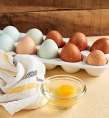 Heat-Treated Eggs