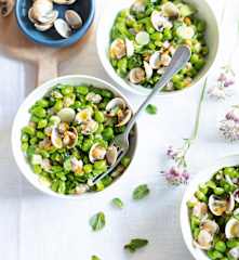 Salade de fèves aux coques à la menthe