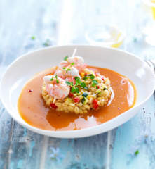 Brochette de langoustines et leur bisque, blé aux petits légumes