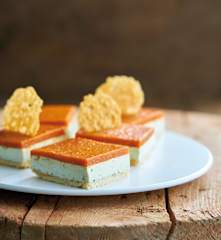 Cheesecake de tomate