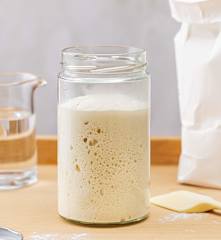 Levain-chef (starter de levain)
