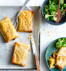 Bricks de magret de canard aux abricots