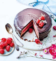 Entremets chocolat, insert framboise