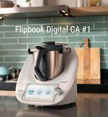 Flipbook Digital CA #1