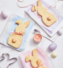 Pink Bunny