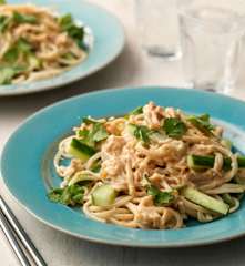 Warm Chicken Peanut Noodle Salad