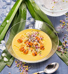 Vichysoisse de maíz Thai