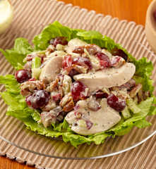 Kuřecí salát s pekanovými ořechy a medem