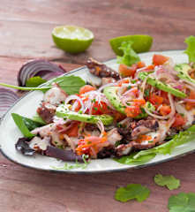 Ensalada de pulpo y aguacate con salsa criolla de cebolla roja