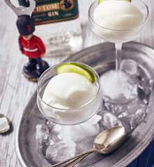 Gin-Tonic-Sorbet