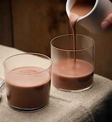 Coconut Milk Cocoa Custard (Dairy Free)