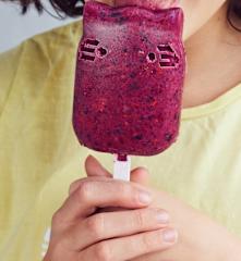 Glaces aux fruits animaux