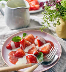 Marinierte Erdbeeren mit weißer Schokosauce