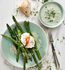 Chřest s pošírovaným vejcem a řeřichovým přelivem