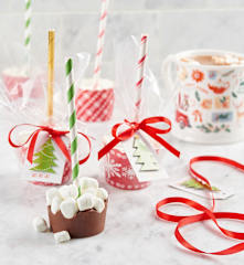 Hot Chocolate Sticks