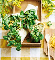 Wraps de frango e abacate