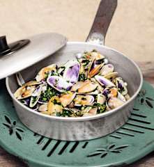 Tellines en persillade