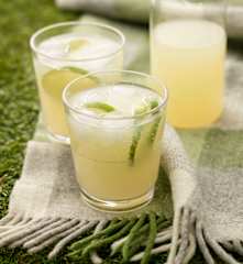 Ginger and Lime Fizzy Refresher