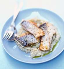 Escalopes de bar et mousseline d'artichaut