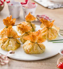 Limosneras de verduras y pollo