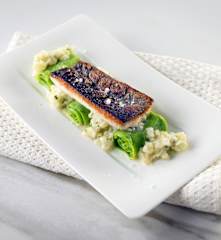 Saibling mit Petersilien-Pappardelle und Rahmkohlrabi