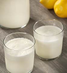Bebida láctea