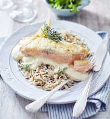Lachs-Sahne-Gratin