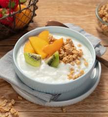 Yogur de leche de oveja TM6