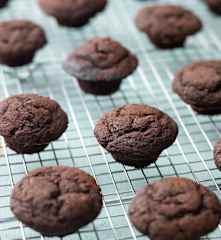 Mini Double Chocolate Muffins