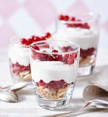 Johannisbeer-Vanille-Creme