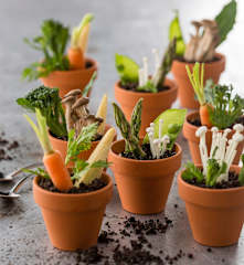 Potted baby vegetables