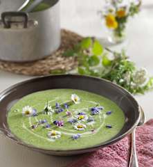 Neunkräutersuppe