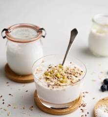 Yogur de leche de coco TM6