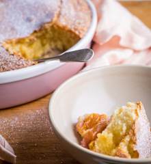 Peach and Plum Fruit Cobbler