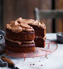 Two-layer chocolate cake