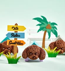 泰迪犬巧克力饼干