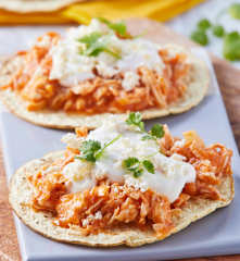 Tinga de pollo TM6