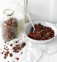 Granola de trigo sarraceno y cacao