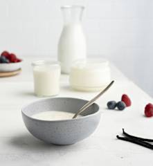 Iogurte natural com natas