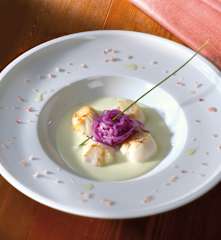 Capesante su purea di sedano rapa con verza croccante