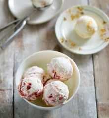 Gelado de fruta da época